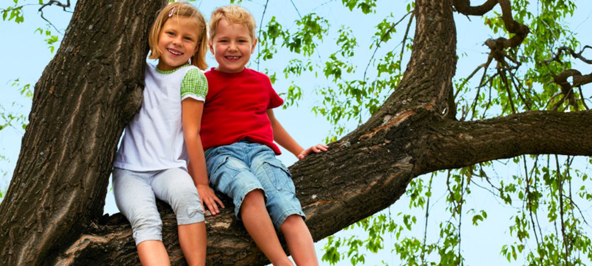 kids sitting in tree