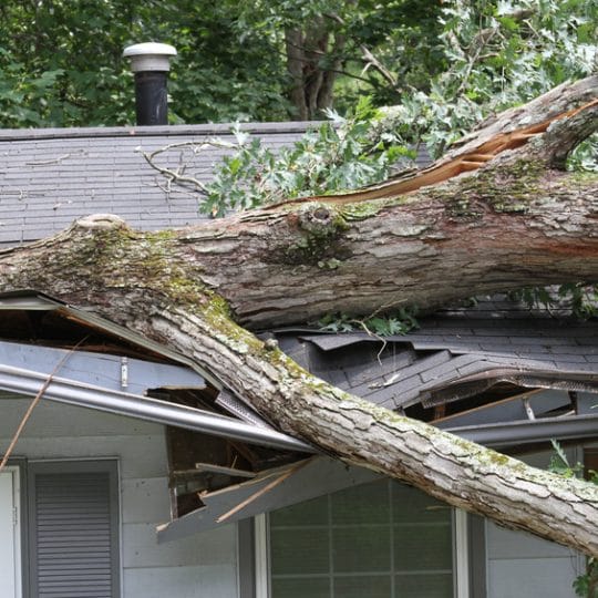 Storm Damage