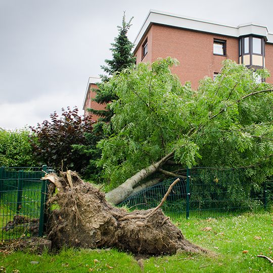 Storm damage