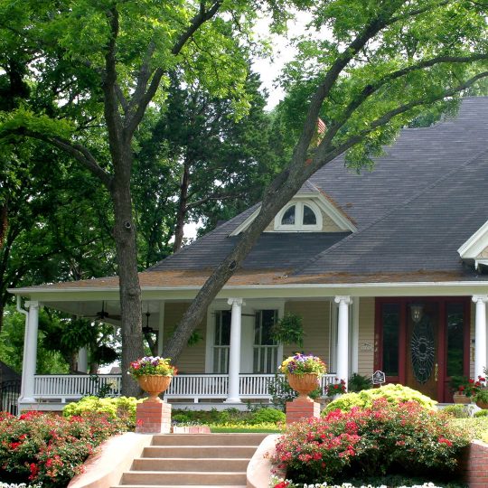 Should You be Concerned about Branches Over the Roof