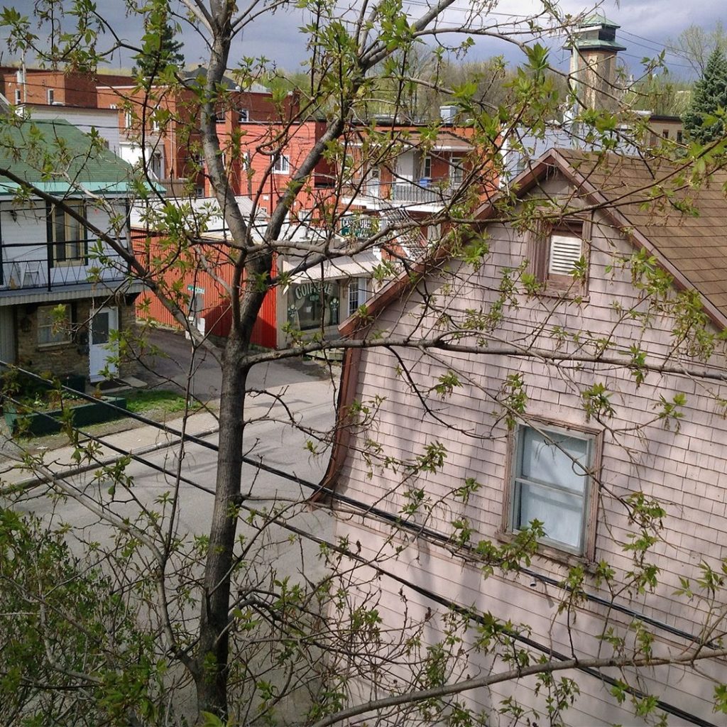Overhanging Tree Branches What are the Laws? Elite Tree Care