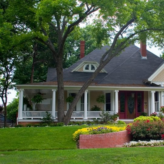 What to do with a Tree Close to the House