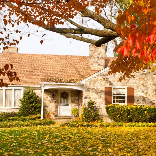 Pruning Branches Over Roofs