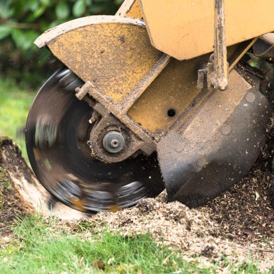 Stump Removal Process