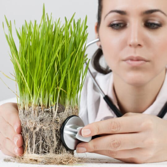 Plant Health Care Plan