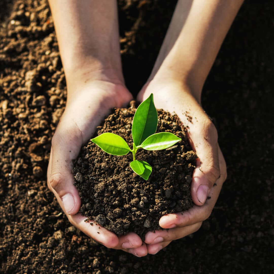 Earth Day Tree Care - Elite Tree Care