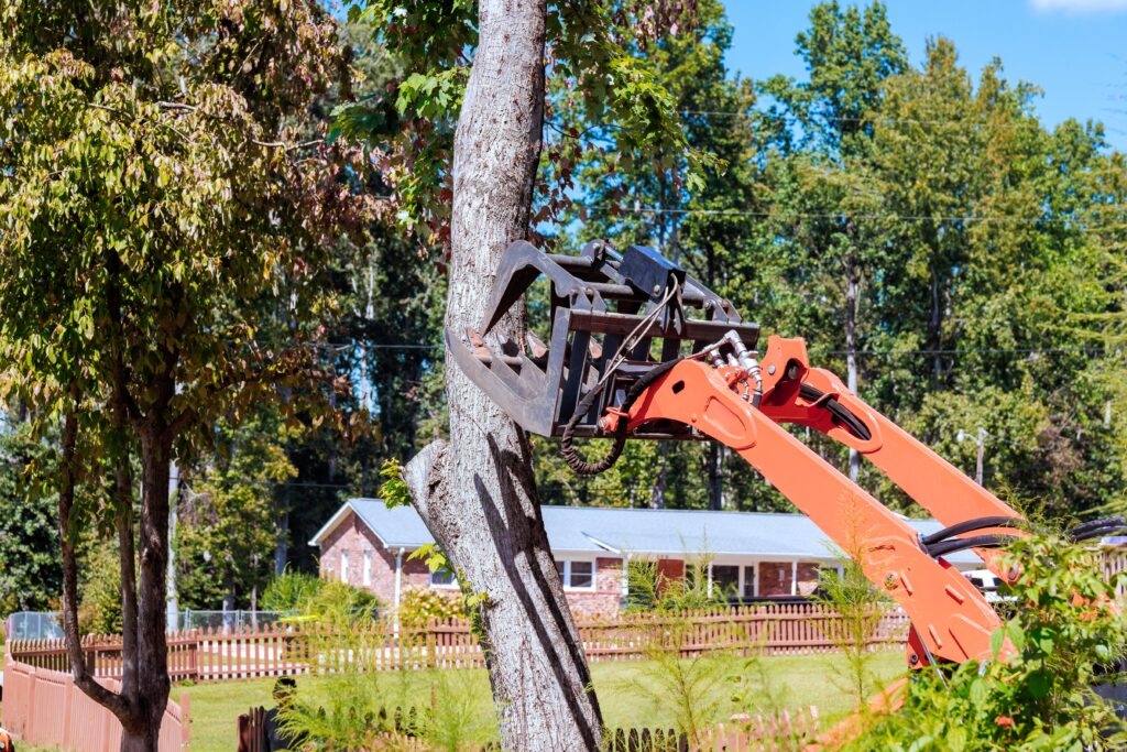 Commercial Tree Services | Elite Tree Care