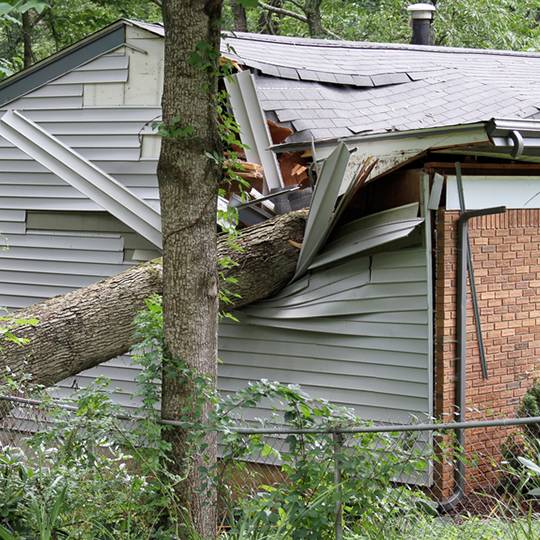 storm damage tree removal