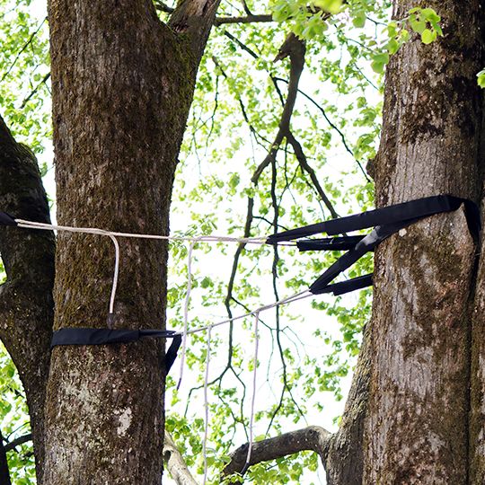 tree cabling services