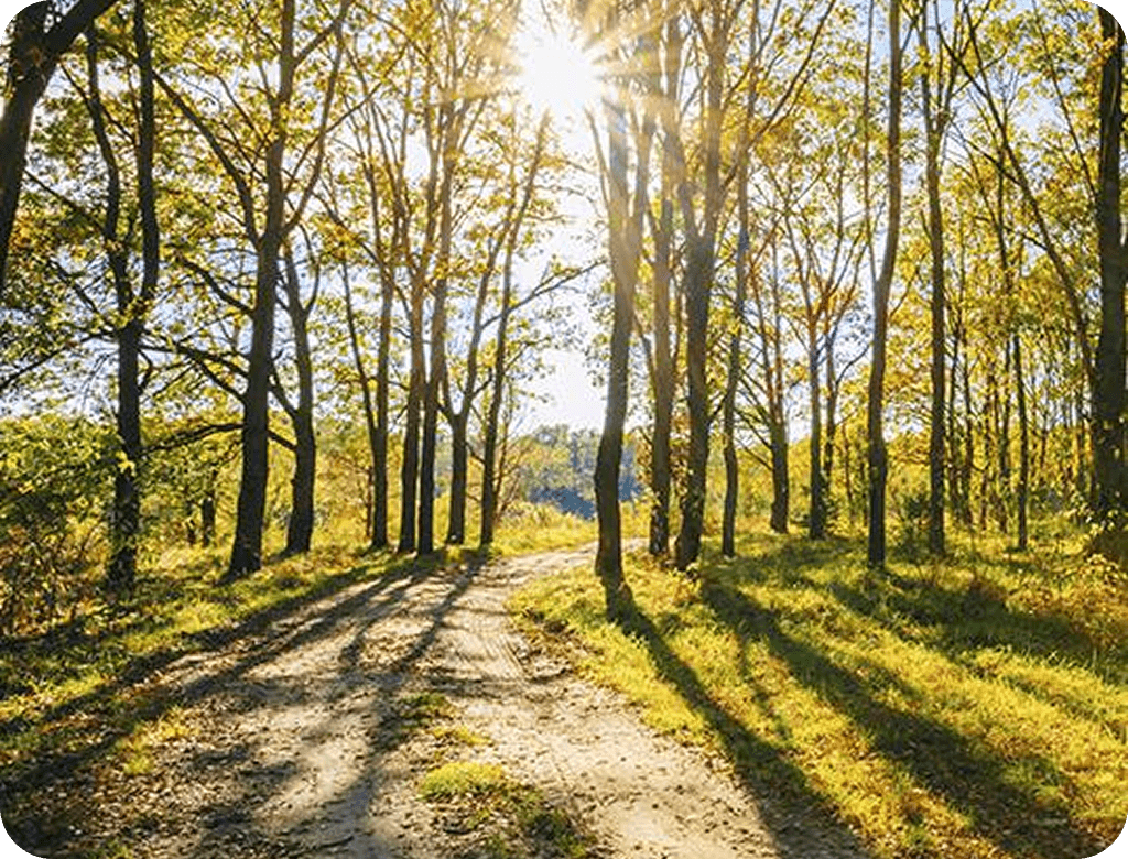 tree care company near me